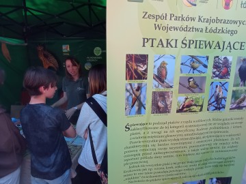 Piknik województwa łódzkiego w Brzezinach z okazji Dnia Dziecka, 